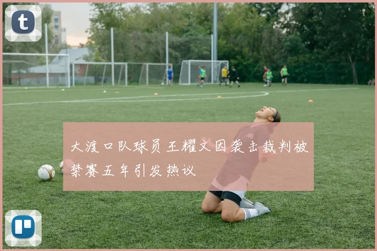 大渡口队球员王耀文因袭击裁判被禁赛五年引发热议
