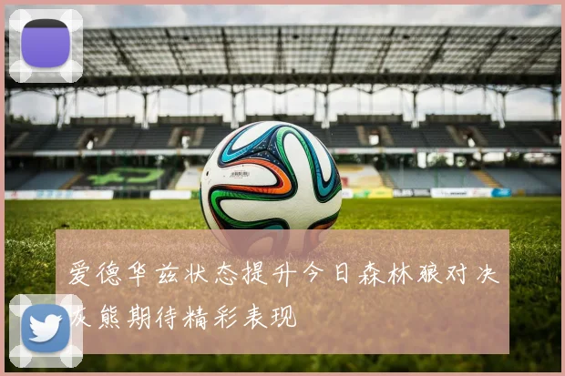 爱德华兹状态提升今日森林狼对决灰熊期待精彩表现
