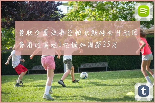 曼联今夏放弃签帕尔默转会计划因费用过高达1亿镑加周薪25万