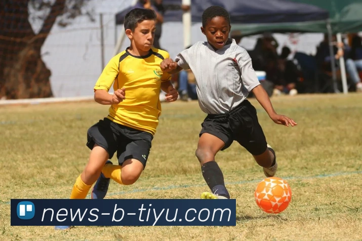 B体育平台生态图