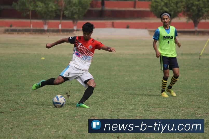 B体育APP 封面图